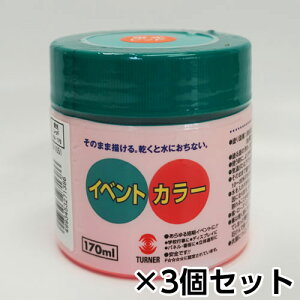 ターナー イベントカラー 170ml 蛍光色 ポリ容器入り 1セット(3個) 色番205(蛍光レッド)
