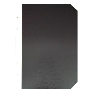 Z HAKUTAKAԍ\ cA2Sij