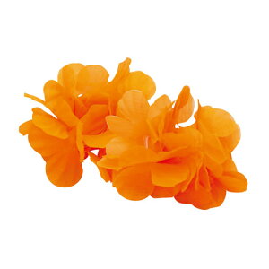 A[ebN ͂Ȃ̘r  ߑ ^ \ VY _XiIWj