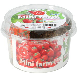 A[ebN ~jt@[ňĂ~jg}g