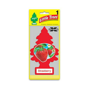 gEc[ i GA[tbVi[ rbOgc[ ݂艺 J[pi  F Xgx[̍