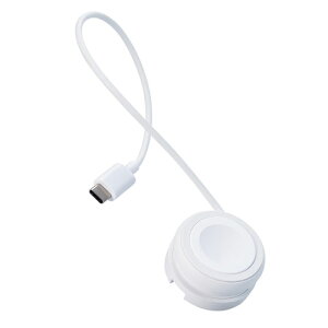 GR  Apple Watch [d P[u USB Type-C 23cm AppleKFؕiizCgj