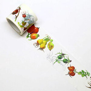 J~C\ {^jJA[g }XLOe[v }Xe o̎ 38mm