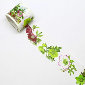 J~C\ {^jJA[g }XLOe[v }Xe NX}X[Y 38mm