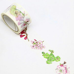 J~C\ {^jJA[g }XLOe[v }Xe  25mm