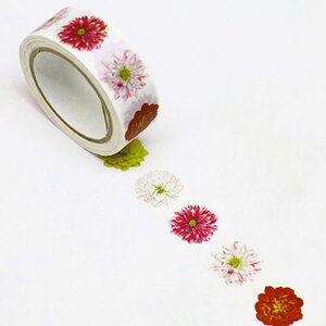 J~C\ {^jJA[g }XLOe[v }Xe _A 15mm