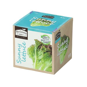 A[ebN GR͔|Lbg Re:Green Tj[^X