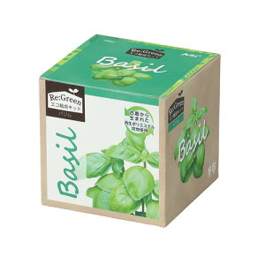 A[ebN GR͔|Lbg Re:Green oW