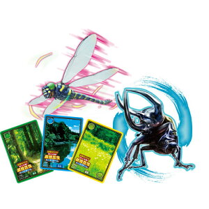 ACAbv L̓og!㌈!ŋJ[hQ[