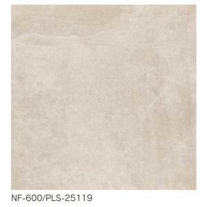 ] [J[ EH[^C tCAbVXg Flyash Stone 600 p B1ށi펿j{