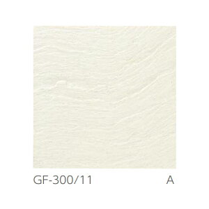 ] [J[ tA^C R Gassan 300 p B1ށi펿j