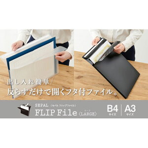 ZLZC Zp SEPAL tbvt@C [W B4 R^iubNj