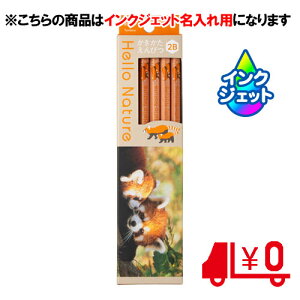 g{M ꉔM ꗿ ҂ n[lC`[ bT[p_ 2B 6p [No15]