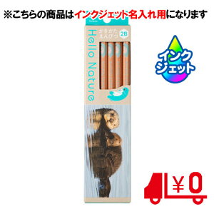 g{M ꉔM ꗿ ҂ n[lC`[ bR 2B 6p [No17]