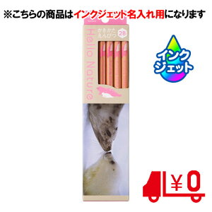 g{M ꉔM ꗿ ҂ n[lC`[ ^eSgAUV 2B 6p [No18]