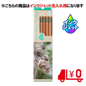 g{M ꉔM ꗿ ҂ n[lC`[ RA 2B 6p [No19]