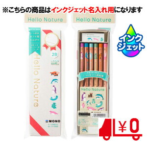 g{M ꉔM ꗿ ҂ n[lC`[ MtgZbg 2B 6p [No22]