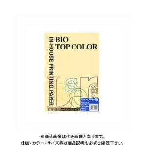 ɓ oCIgbvJ[ A4 50 160g/m2iN[j