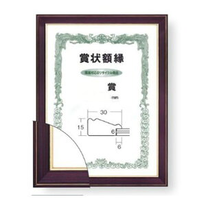 大額 賞状額 ネオ光輝