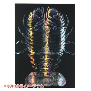 A[ebN zOXNb`{[h2 150×200mm