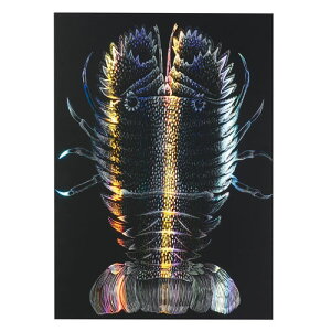 A[ebN zOXNb`{[h2 190×265mm