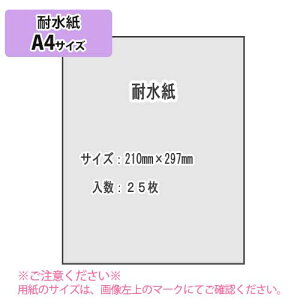 SAKAE TP ϐ  128g/m2 A4 25