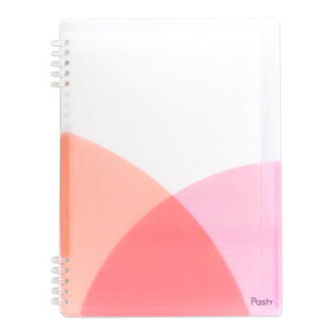 vX Pasty [Y[toC_[ O^Cvis[`sNj