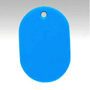 NE@ԍD ^EX`[@n(100)@ [100]ij