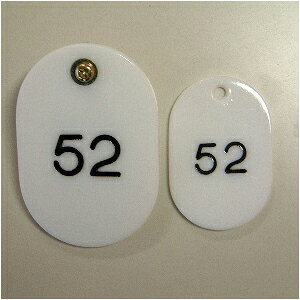 NE@eqD 21gEX`[@51`100ԁij