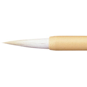 TNNpX@fUCM@ʐFM :220mm