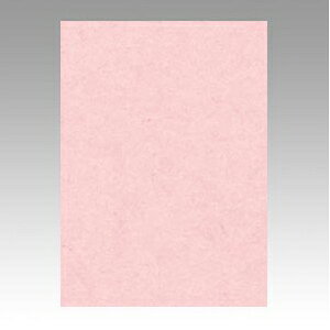 文運堂 ニューカラーR 全判(うすもも)