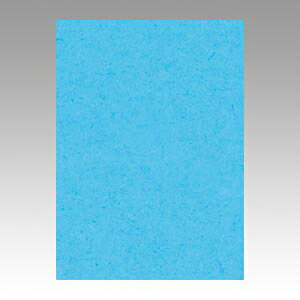 文運堂 ニューカラーR 全判(みずいろ)