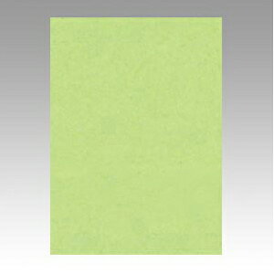 文運堂 ニューカラーR 全判(わかくさ)