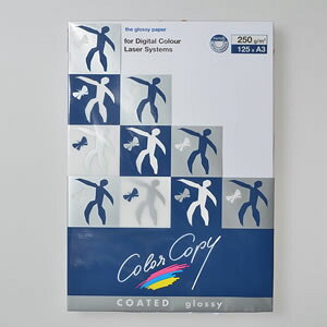 ɓ@oCIgbvJ[ IW BT533iIWj