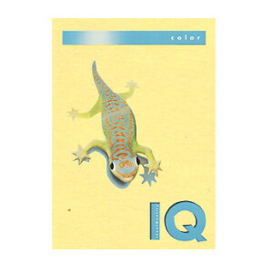 ɓ@oCIgbvJ[ CG[ BT603iCG[j