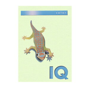 ɓ@oCIgbvJ[ O[ BT605iO[j