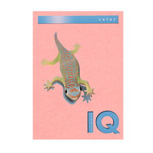 ɓ@oCIgbvJ[ sN BT604isNj