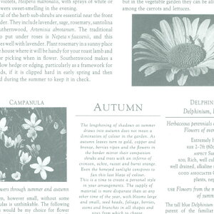 ササガワ 包装紙 ファンシー・バラエティ柄 50枚 半才判 カーディアングレー 白