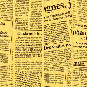 TTK@ t@V[EoGeB 50@˔@ؓj[X^[