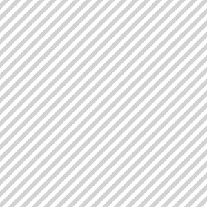 TTK@ Ŏp 50@˔@Vo[C