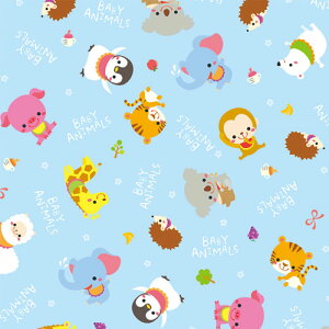 TTK@ xr[ELbY 50@˔@xr[Aj} u[