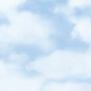 TTK@ Ŏp 50@˔@NEh u[
