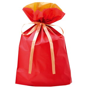 TTK@В bh @50ܓ@310x430x120mmAqʒuH290mm