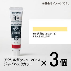 ^[i[@ANKbV 20ml AF#310@1Zbg(3)iAFi͂jj