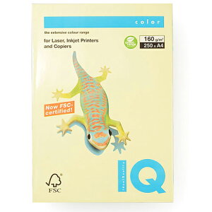 伊東屋 バイオトップカラー A4判 250枚入 160g/m2(イエロー)