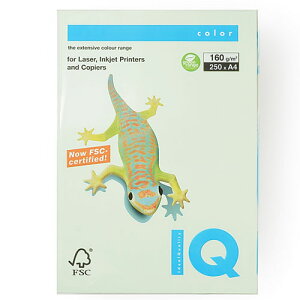 ɓ@oCIgbvJ[@A4 250 160g/m2iO[j