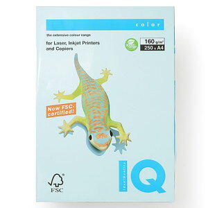 伊東屋 バイオトップカラー A4判 250枚入 160g/m2(ブルー)