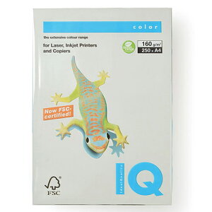 ɓ@oCIgbvJ[@A4 250 160g/m2iO[j