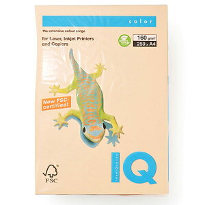 伊東屋 バイオトップカラー A4判 250枚入 160g/m2(サーモン)