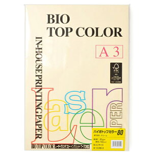 ɓ@oCIgbvJ[@A3 100 80g/m2iN[j